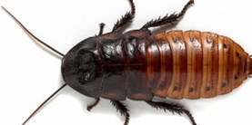 b4c72f45f5f7e0ccf433e882533d6a73-jpg