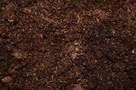 475c4ff532e8b3f41f67b4aabb16c9e2-jpg